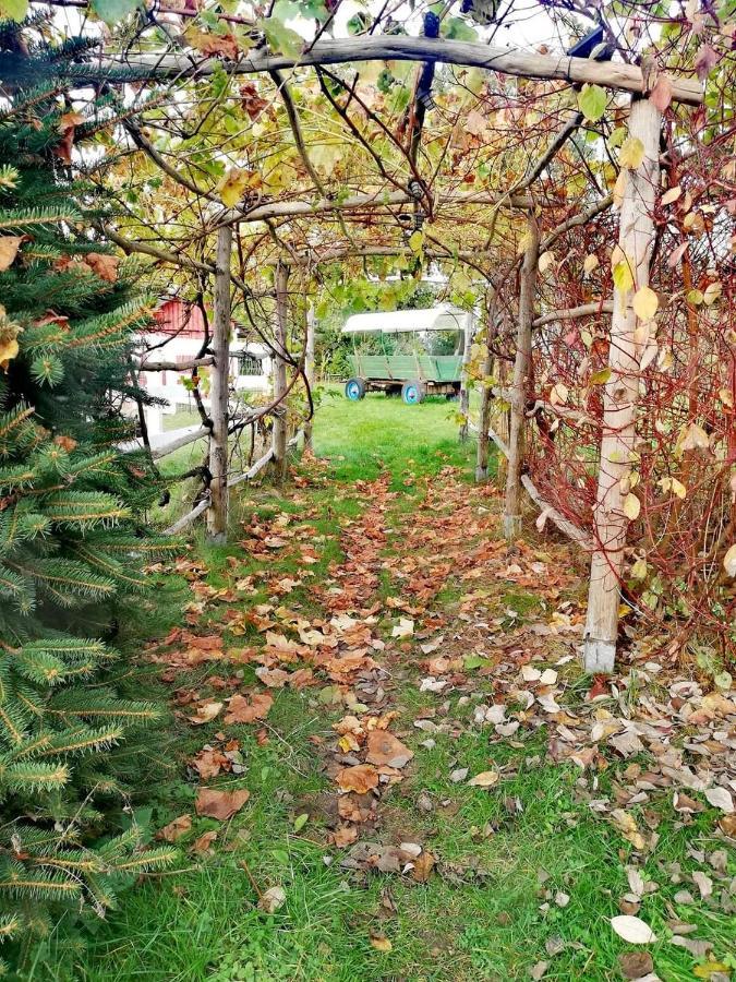 Babie Lato Villa Wlodarka Eksteriør billede